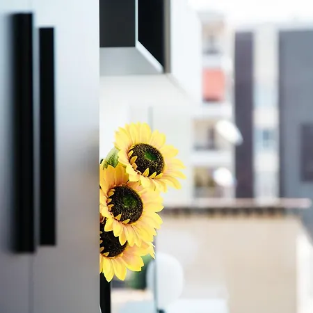 Apartamento Flat Iron Modern *